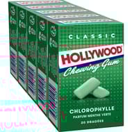 Hollywood regular chlorophylle dragées 5x20-140g