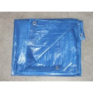 Bâche de protection 2x3m 1g