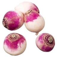 Navet rond violet