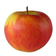 Pomme fuji