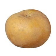 Pomme canada grise