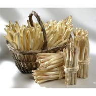 Asperge blanche Cora 500g