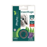 Riga collier insectifuge + élastique chaton et chat