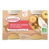 Babybio délice de fruits sans gluten dès 6 mois 2x130g