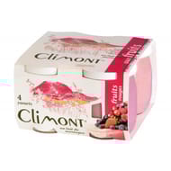 Climont yaourt aux fruits rouges 4x125g