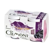 Climont yaourt aux fruits myrtilles 2x125g