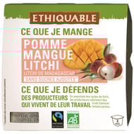 Ethiquable dessert litchi mangue bio 4x100g