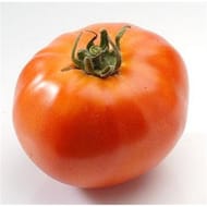 Tomate ronde à farcir