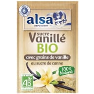 Alsa sucre vanille équitable 45g bio