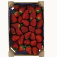Fraise litee 1kg