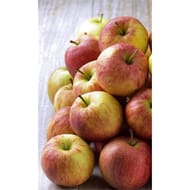 Pomme gala mini colis 3kg