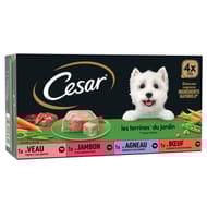 Cesar pâtée pour chien 4 variétés en terrine 4x300g