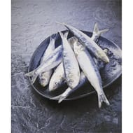 Sardine