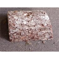 Buche diam 50mm