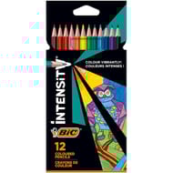 Bic crayon de couleur intensity x 12