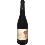 Saint Nicolas de Bourgueil Le vieux Chêne Domaine Mabileau 12.5% Vol. 75cl