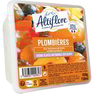 Altiflore bac crème glacée plombière 450 g