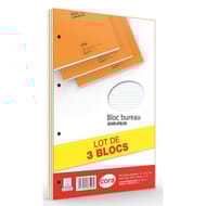Cora lot de 3 blocs 21x31.5 cm 160 pages 80 g 5/5
