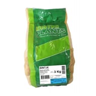 Distriplants bintje 35/45 sac de 3kg