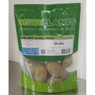 Rikea 28/35 clipack 25 plants