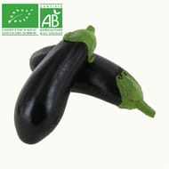 Aubergine bio le kilo