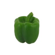 Poivron vert bio le kilo