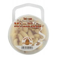 Teignes naturel momifiées