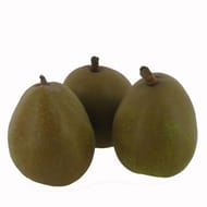 Poire Angelys