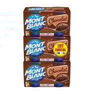 Mont Blanc crème dessert chocolat lot 3x4x125g-1500g
