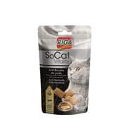 Riga socat vitality boules de poils 50g