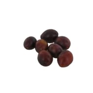 Prune allongée bleue