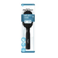 Franck provost brosse voyage pneumatique poils 100% sanglier