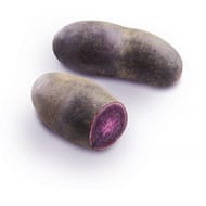 Pomme de terre violette