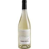 Igp Cevennes blanc Terre Pastel 11.5% Vol. 75cl