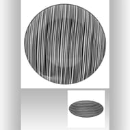Assiette plate bohémia zèbre 27 cm