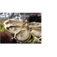 Huitre speciale isigny n3 bouriche 6 pieces