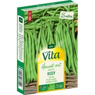 Vita Vilmorin haricot cordon bleu