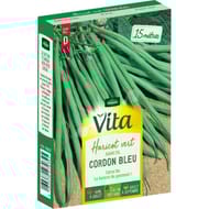 Vita Vilmorin haricot cordon bleu