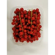 Groseille rouge barquette 125g