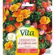 Vita Vilmorin eschscholtzia californie mix