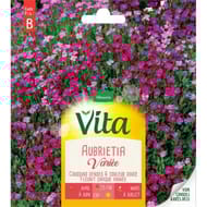 Vita Vilmorin aubrietia hybride varie