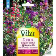 Vita Vilmorin clarkia dble elegant mix