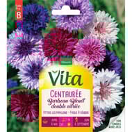 Vita Vilmorin centauree barbeau bleuet