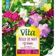 Vita Vilmorin belle de nuit variee