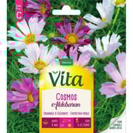 Vita Vilmorin cosmos aldebaran melange