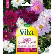 Vita Vilmorin cosmos double click mix