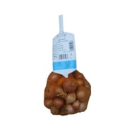 Echalote rde red sun 07/15h filet de 500g