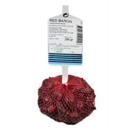 Oignons rge red baron 14/21 filet de 250gr