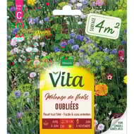 Vita Vilmorin melange fleurs oubliees 4m2