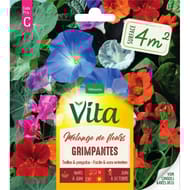 Vita Vilmorin melange fleur grimpante 4m2